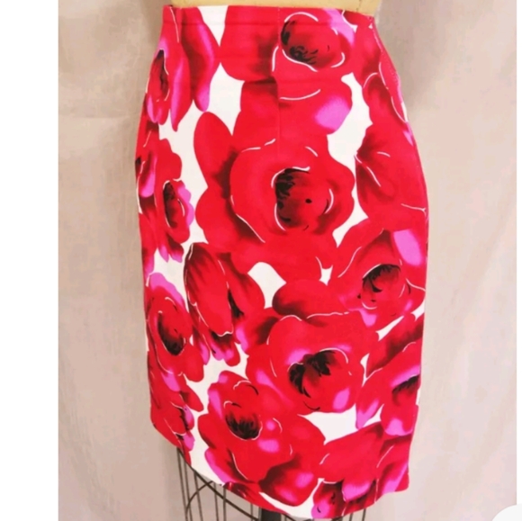 Briggs New York Dresses & Skirts - BRIGGS New York Skirt